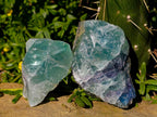 Natural Watermelon Fluorite Cobbed Specimens x 12 From Uis, Namibia