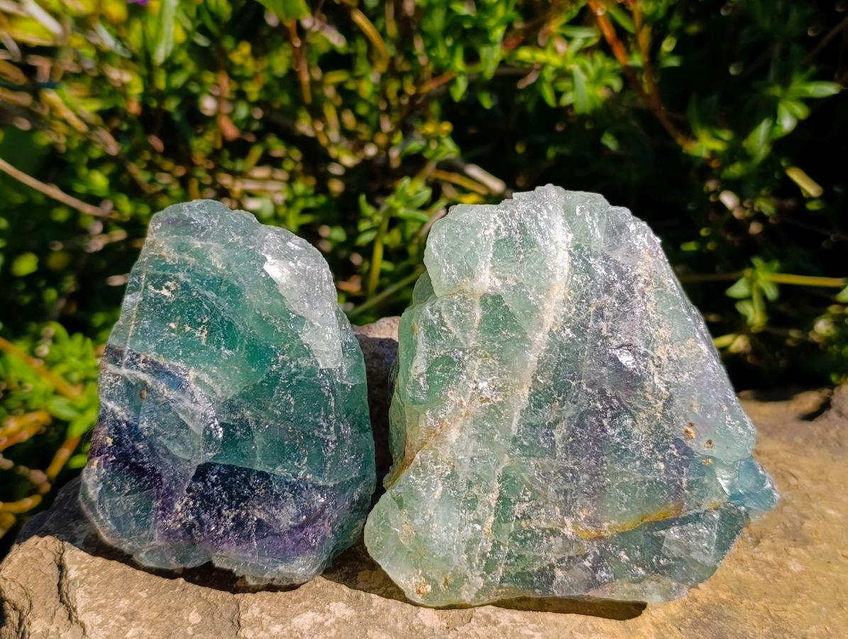 Natural Watermelon Fluorite Cobbed Specimens x 12 From Uis, Namibia