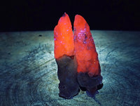 Natural Drusy Quartz Coated Spearhead Calcite Specimens x 12 From Albert's Mountain, Lesotho