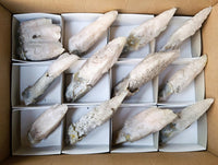 Natural Drusy Quartz Coated Spearhead Calcite Specimens x 12 From Albert's Mountain, Lesotho