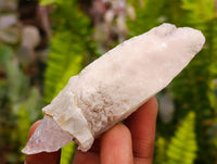 Natural Drusy Quartz Coated Spearhead Calcite Specimens x 12 From Albert's Mountain, Lesotho