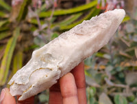 Natural Drusy Quartz Coated Spearhead Calcite Specimens x 12 From Albert's Mountain, Lesotho