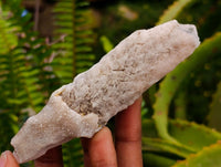 Natural Drusy Quartz Coated Spearhead Calcite Specimens x 12 From Albert's Mountain, Lesotho