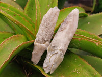 Natural Drusy Quartz Coated Spearhead Calcite Specimens x 12 From Albert's Mountain, Lesotho