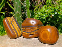 Polished Jumbo Golden Tiger's Eye Free Forms x 3 From Prieska, South Africa