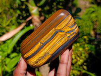 Polished Jumbo Golden Tiger's Eye Free Forms x 3 From Prieska, South Africa