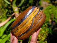 Polished Jumbo Golden Tiger's Eye Free Forms x 3 From Prieska, South Africa