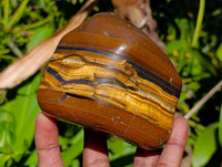 Polished Jumbo Golden Tiger's Eye Free Forms x 3 From Prieska, South Africa