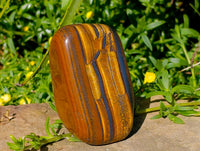 Polished Jumbo Golden Tiger's Eye Free Forms x 3 From Prieska, South Africa