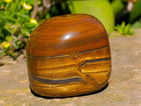 Polished Jumbo Golden Tiger's Eye Free Forms x 3 From Prieska, South Africa