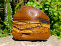 Polished Jumbo Golden Tiger's Eye Free Forms x 3 From Prieska, South Africa