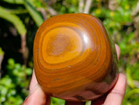 Polished Jumbo Golden Tiger's Eye Free Forms x 3 From Prieska, South Africa