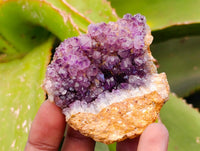 Natural Amethystos Amethyst Clusters x 35 From Kwaggafontein, South Africa