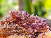 Natural Amethystos Amethyst Clusters x 35 From Kwaggafontein, South Africa