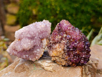 Natural Amethystos Amethyst Clusters x 35 From Kwaggafontein, South Africa