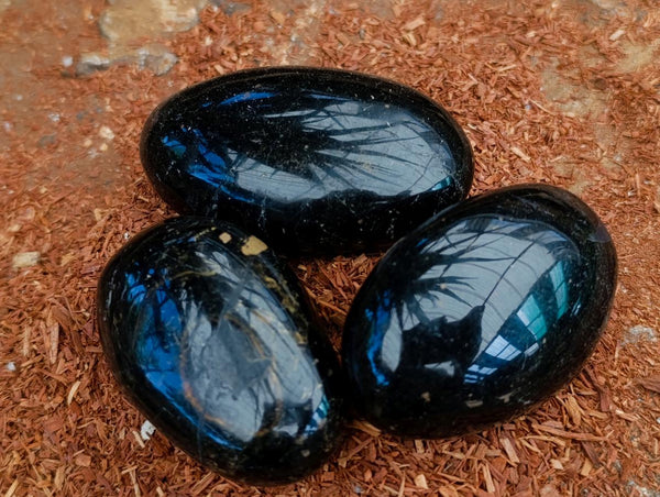 Polished Shiny Black Tourmaline Galets x 12 From Madagascar