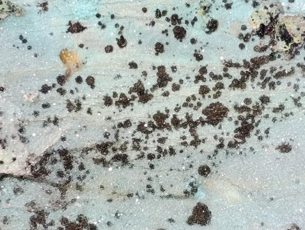 Natural Drusy Coated Chrysocolla On Dolomite Specimens x 3 From Lupoto Mine, Congo