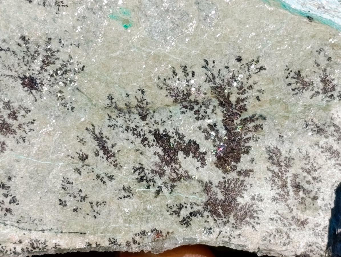 Natural Drusy Coated Chrysocolla On Dolomite Specimens x 3 From Lupoto Mine, Congo