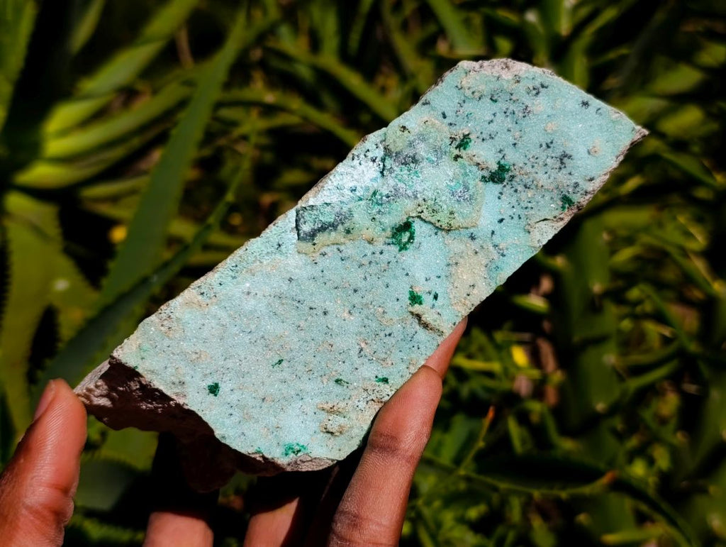 Natural Drusy Coated Chrysocolla On Dolomite Specimens x 3 From Lupoto Mine, Congo