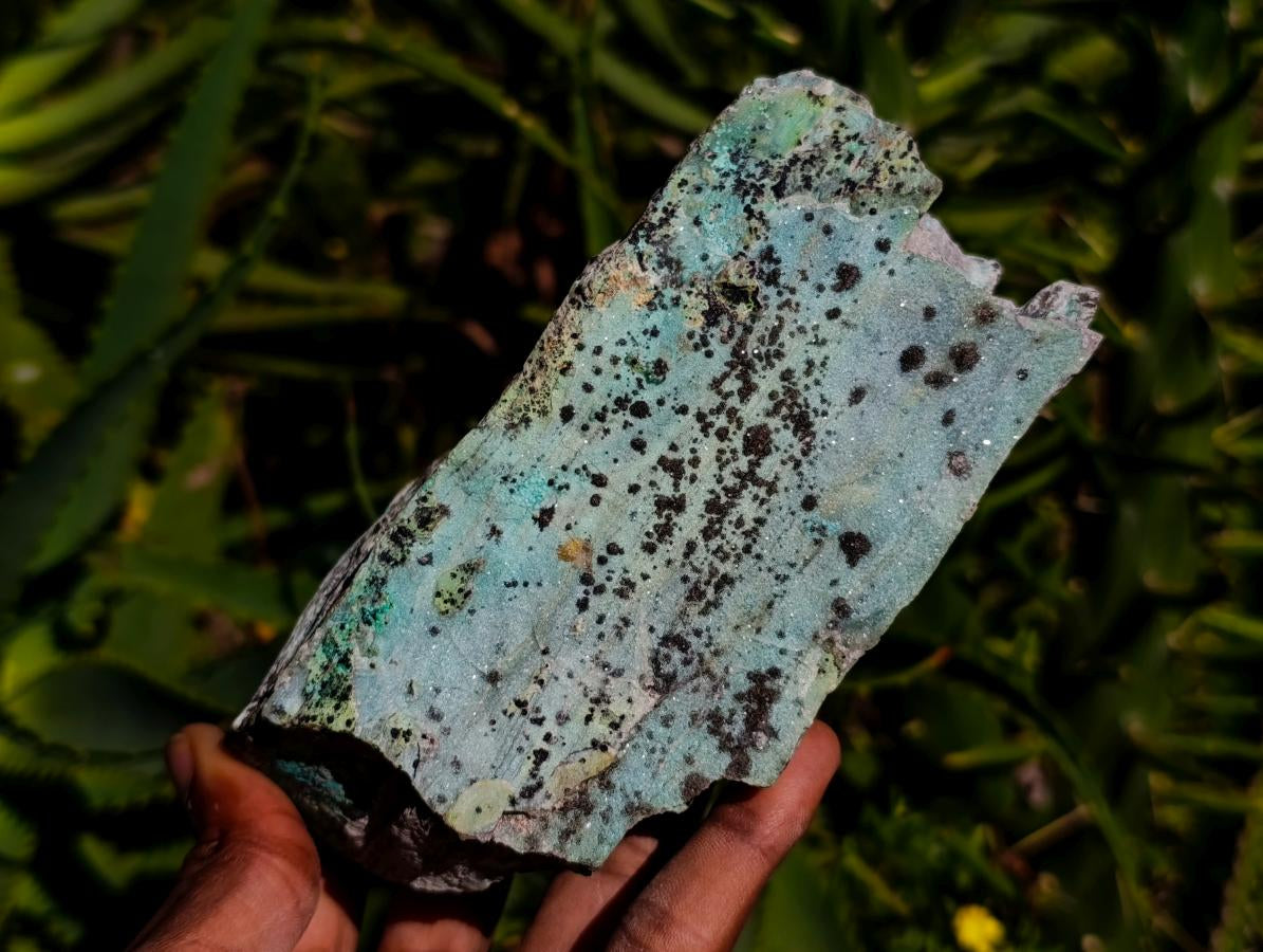 Natural Drusy Coated Chrysocolla On Dolomite Specimens x 3 From Lupoto Mine, Congo