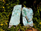 Natural Drusy Coated Chrysocolla On Dolomite Specimens x 3 From Lupoto Mine, Congo