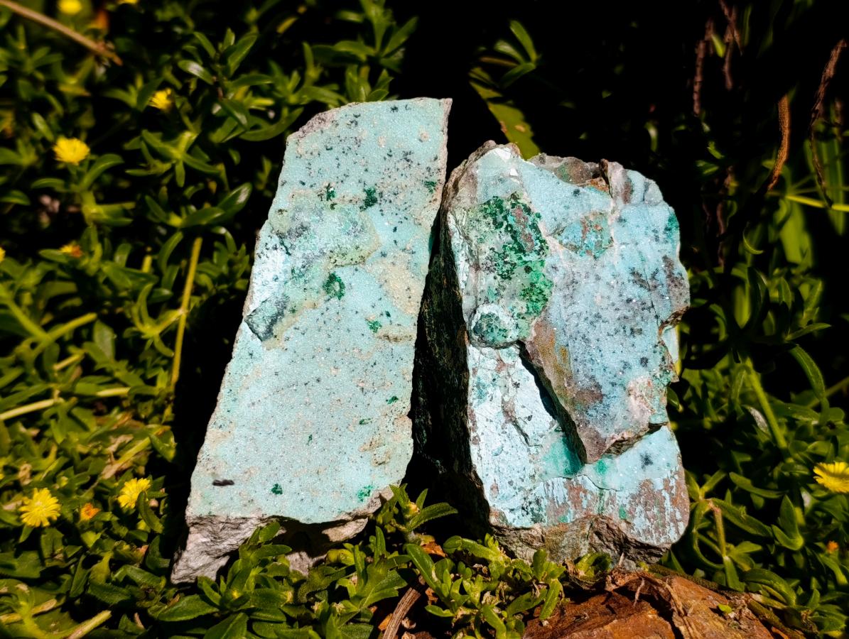 Natural Drusy Coated Chrysocolla On Dolomite Specimens x 3 From Lupoto Mine, Congo