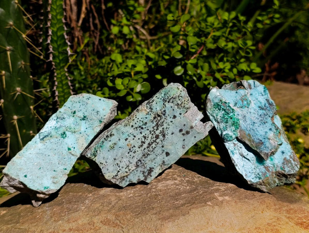 Natural Drusy Coated Chrysocolla On Dolomite Specimens x 3 From Lupoto Mine, Congo