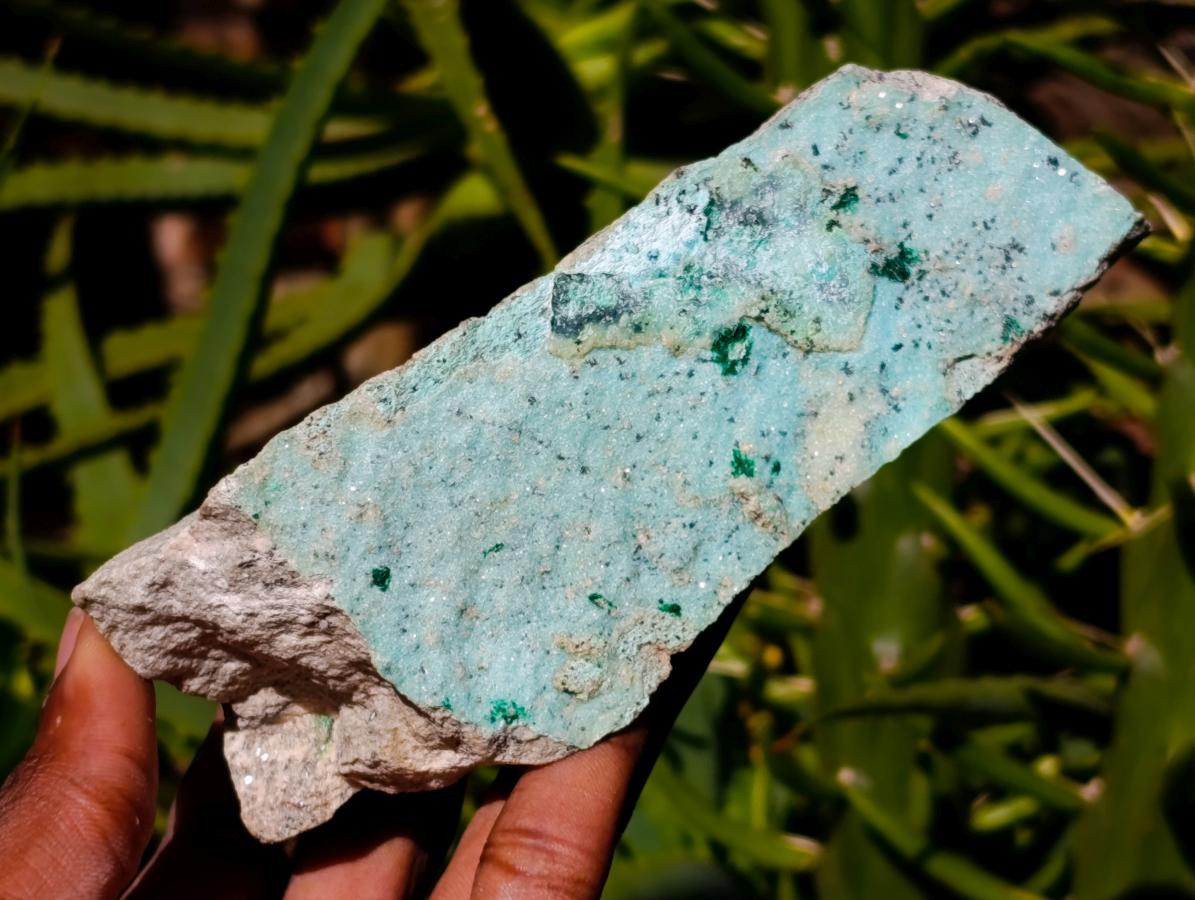 Natural Drusy Coated Chrysocolla On Dolomite Specimens x 3 From Lupoto Mine, Congo