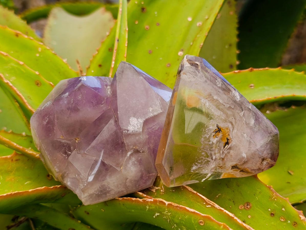 Polished Window Smokey Amethyst Crystals x 6 From Akansobe, Madagascar