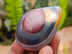 Polished Red Shashe River Agate Free Forms x 20 From Shashe River, Zimbabwe - Toprock Gemstones and Minerals 