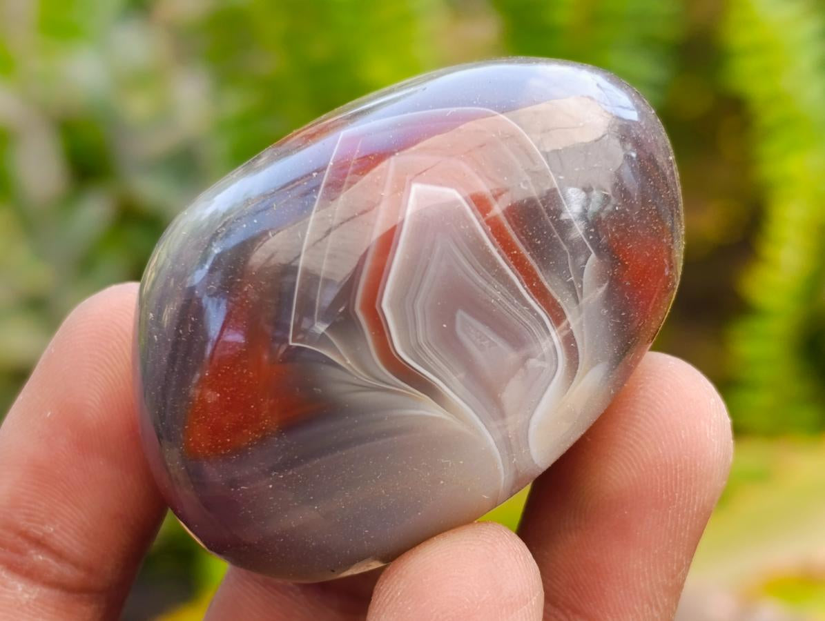 Polished Red Shashe River Agate Free Forms x 20 From Shashe River, Zimbabwe - Toprock Gemstones and Minerals 