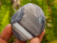 Polished Red Shashe River Agate Free Forms x 20 From Shashe River, Zimbabwe