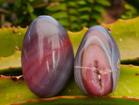 Polished Red Shashe River Agate Free Forms x 20 From Shashe River, Zimbabwe
