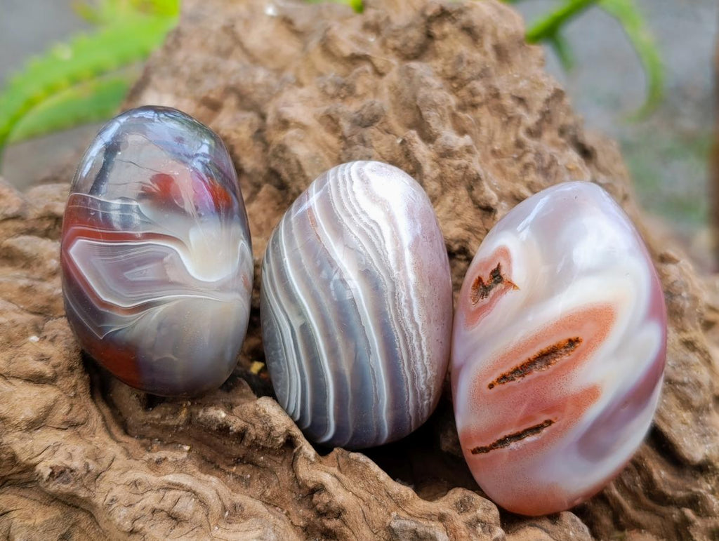 Polished Red Shashe River Agate Free Forms x 20 From Shashe River, Zimbabwe - Toprock Gemstones and Minerals 