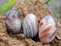 Polished Red Shashe River Agate Free Forms x 20 From Shashe River, Zimbabwe