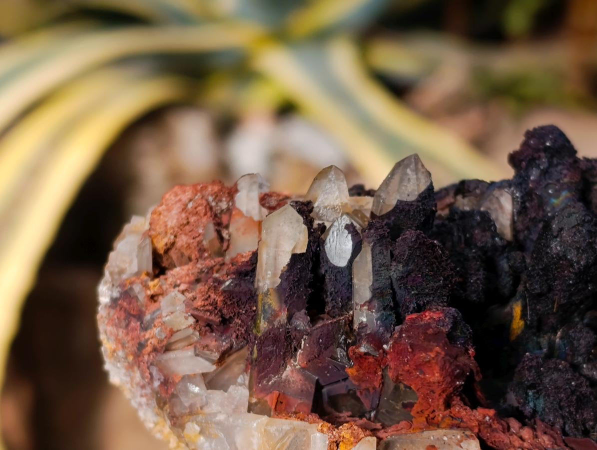 Natural Goethite Coated Blacknite Quartz Clusters x 5 From Madagascar