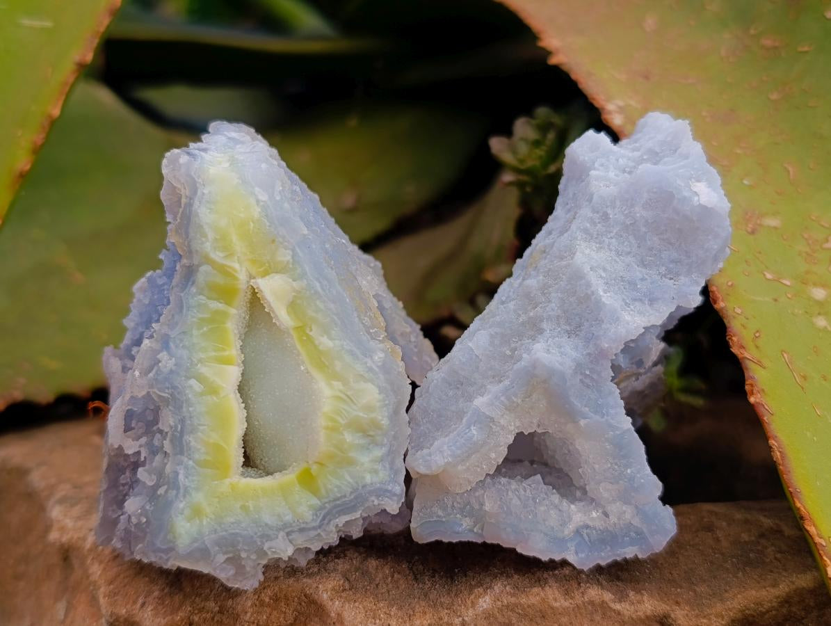 Natural Etched Blue Chalcedony Specimens x 12 From Nsanje, Malawi