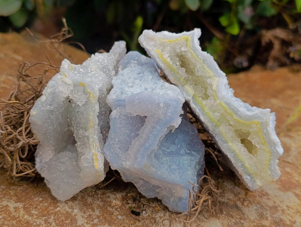 Natural Etched Blue Chalcedony Specimens x 12 From Nsanje, Malawi