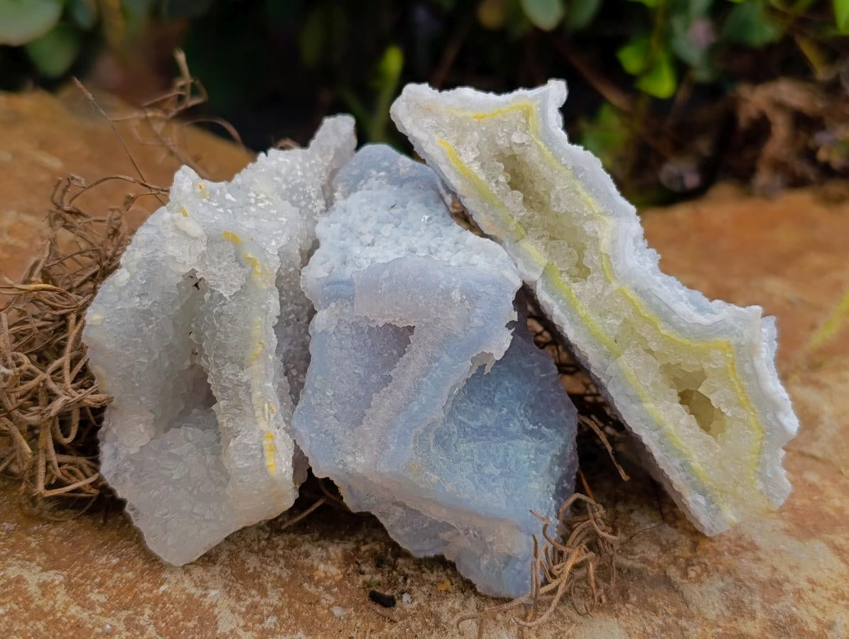 Natural Etched Blue Chalcedony Specimens x 12 From Nsanje, Malawi