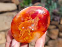 Polished Carnelian Agate Gemstone Galets x 12 From Madagascar
