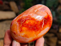 Polished Carnelian Agate Gemstone Galets x 12 From Madagascar