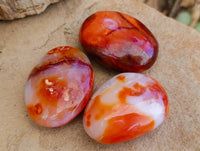 Polished Carnelian Agate Gemstone Galets x 12 From Madagascar