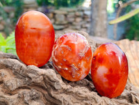 Polished Carnelian Agate Gemstone Galets x 12 From Madagascar