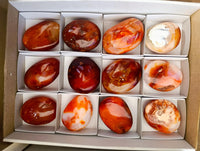 Polished Carnelian Agate Gemstone Galets x 12 From Madagascar