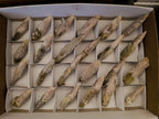 Natural Drusy Quartz Coated Spearhead Calcite Specimens x 24 From Albert's Mountain, Lesotho - Toprock Gemstones and Minerals 
