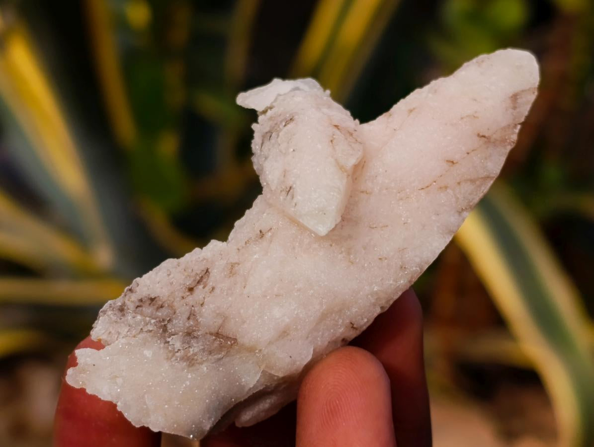 Natural Drusy Quartz Coated Spearhead Calcite Specimens x 24 From Albert's Mountain, Lesotho - Toprock Gemstones and Minerals 