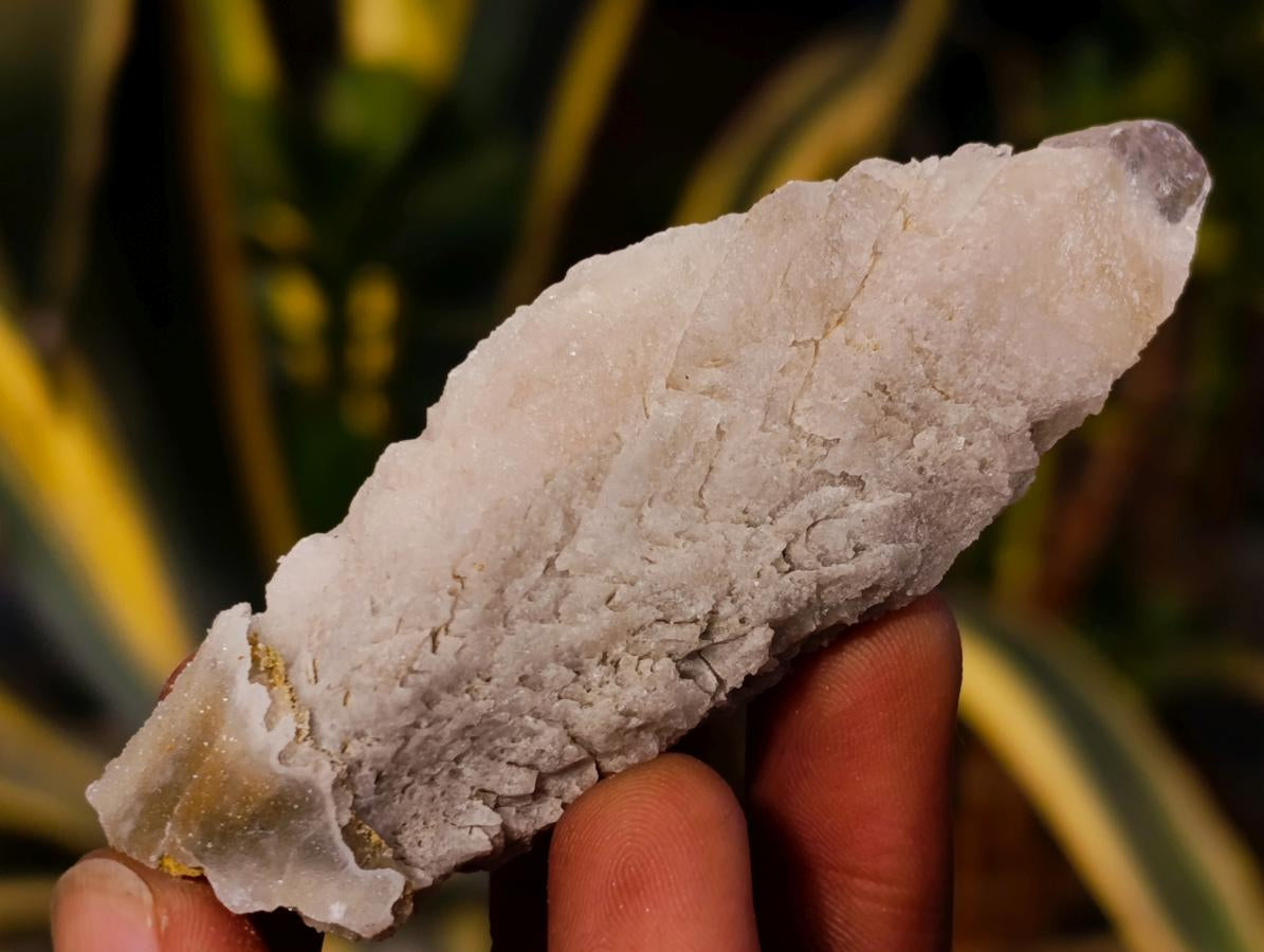 Natural Drusy Quartz Coated Spearhead Calcite Specimens x 24 From Albert's Mountain, Lesotho