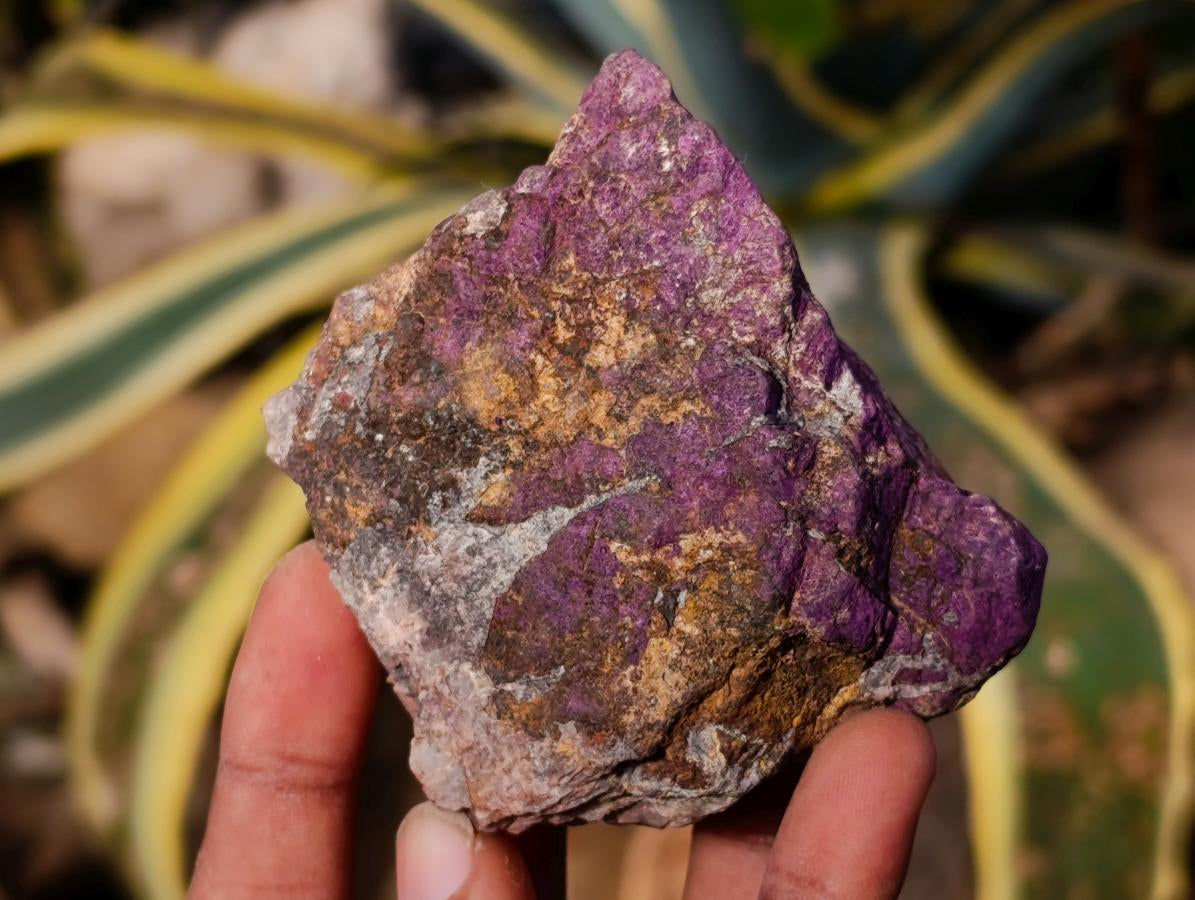 Natural Metallic Purpurite Specimens x 6 From Erongo, Namibia