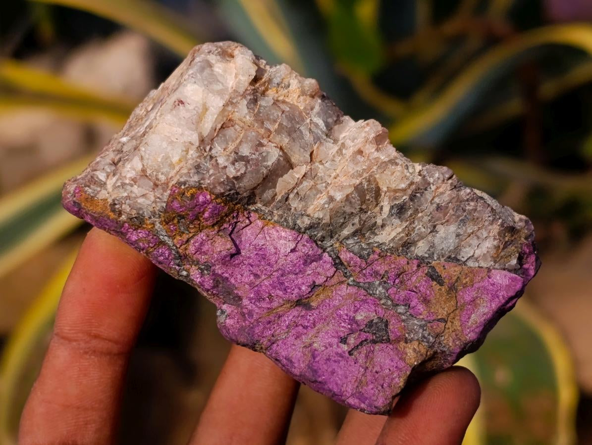 Natural Metallic Purpurite Specimens x 6 From Erongo, Namibia