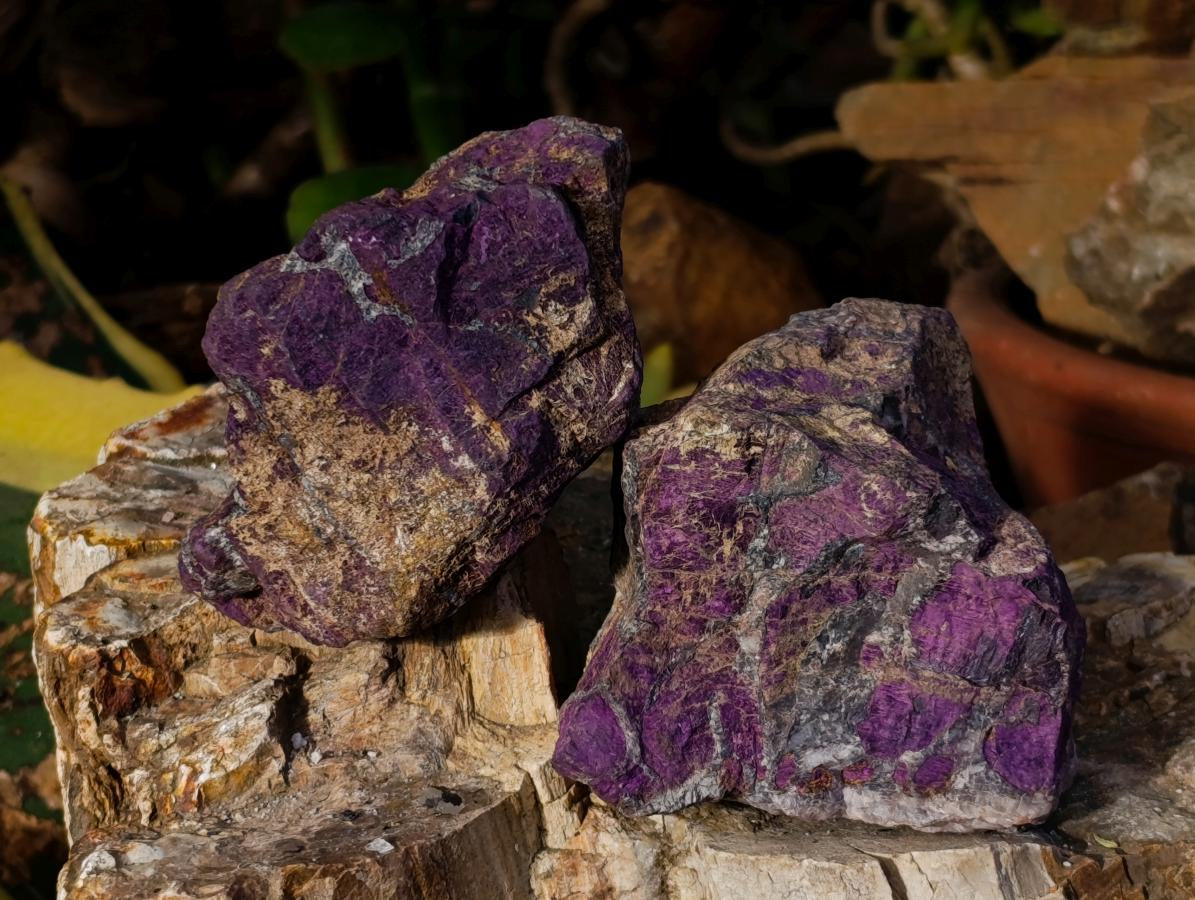 Natural Metallic Purpurite Specimens x 6 From Erongo, Namibia